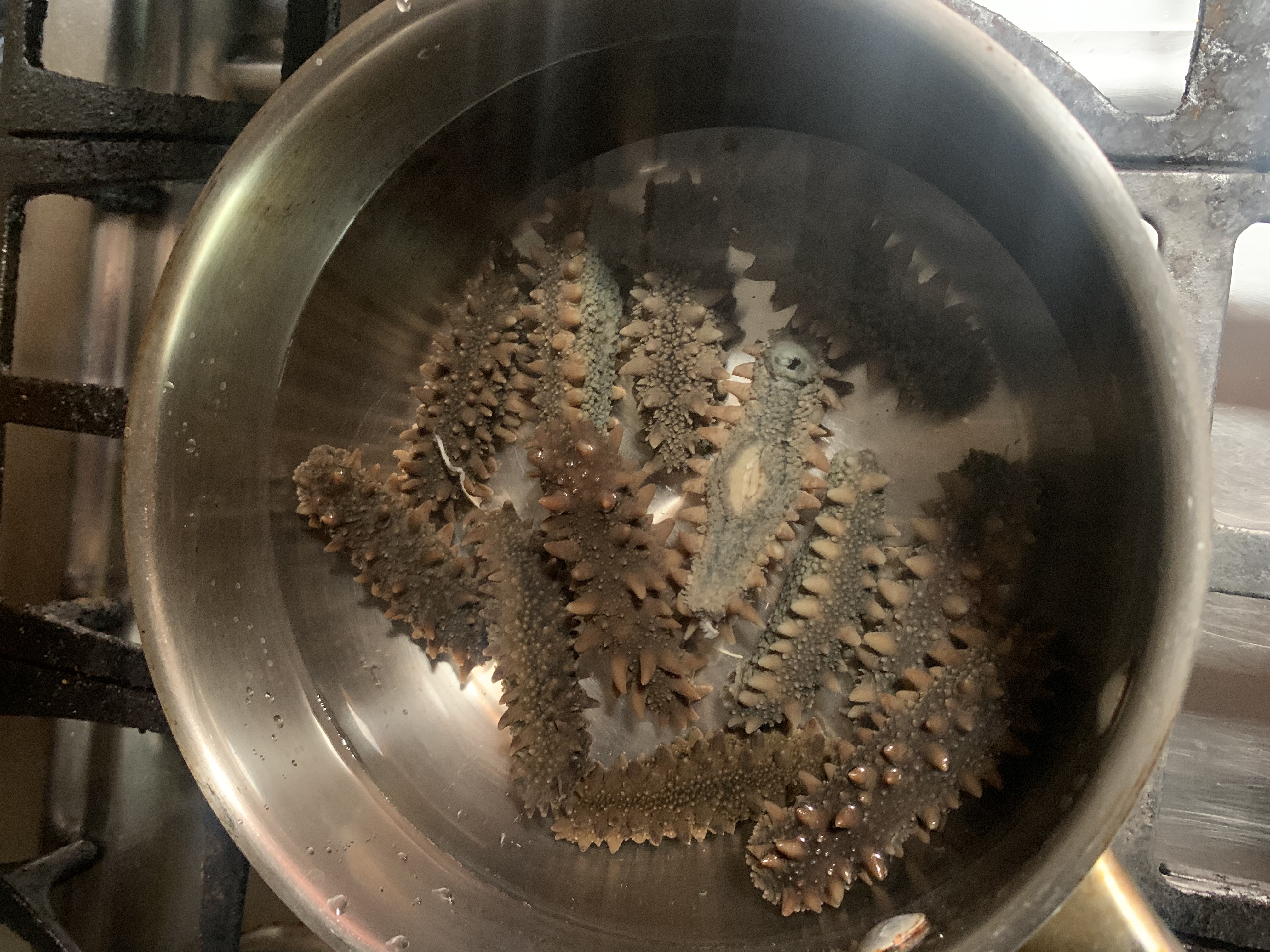 海参泡发煮整过程_海参泡发过程烧焦_海产品泡发过程