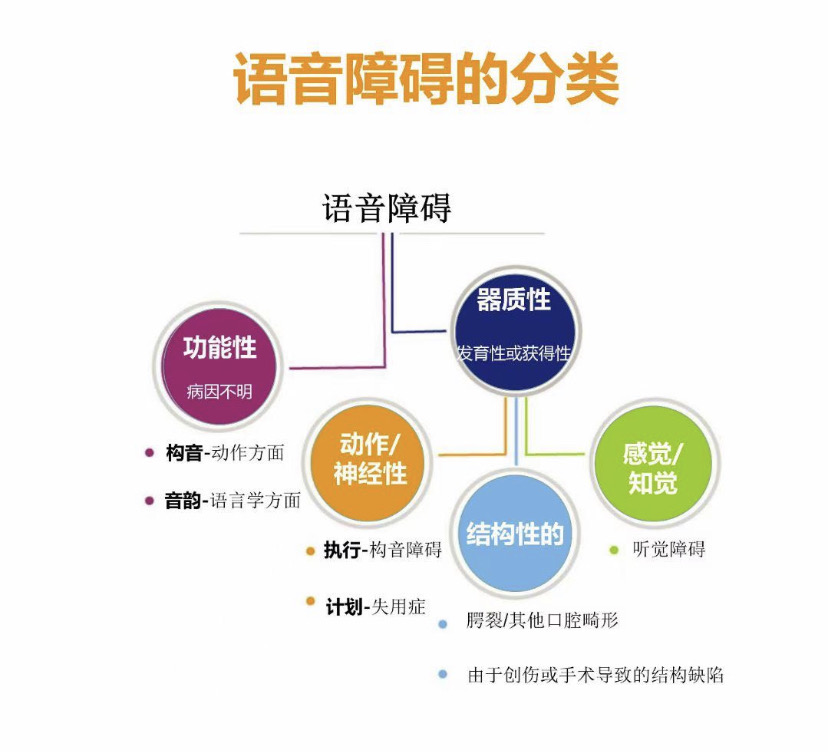 乔姆斯基言语行为述评_什么是言语行为理论_塞尔言语行为理论的分类中阐述类