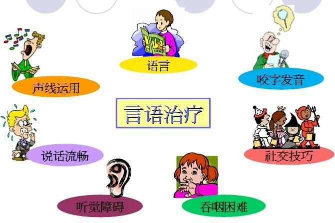 乔姆斯基言语行为述评_什么是言语行为理论_塞尔言语行为理论的分类中阐述类