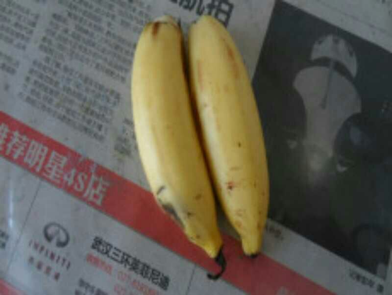 自己买保险网上怎么买_香蕉水网上买不到_网上分期付款买手机怎么买