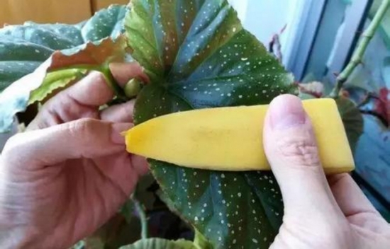 自己买保险网上怎么买_香蕉水网上买不到_网上分期付款买手机怎么买