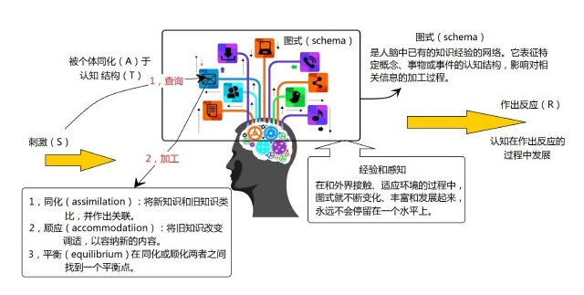 同化与顺应的例子_同化和顺应是谁提出来的_同化顺应