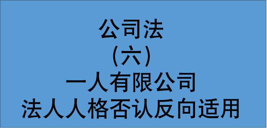 简述公司人格否认制度_论述公司人格否认制度_人格否认制度的理解