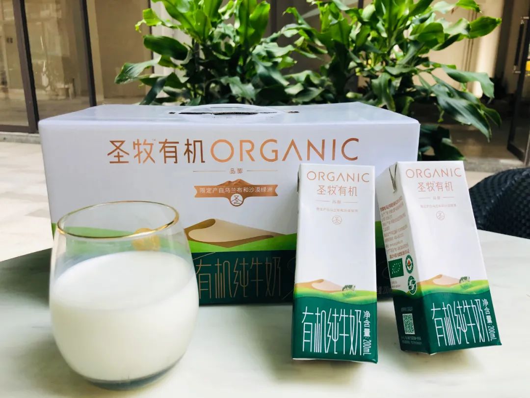 圣牧全程有机纯牛奶怎么样_圣牧全程有机奶代理_圣牧全程有机酸牛奶
