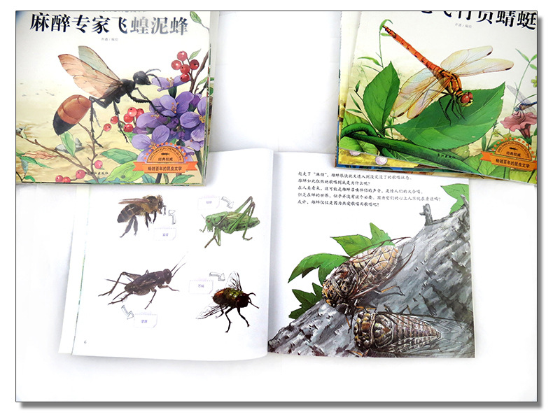 自然辨证法的学科意义_自然笔记大赛意义_自然教育的意义