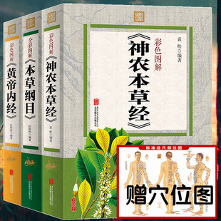 中医理论的起源_血缘诅咒人物起源怎么选_中国中医学起源人物
