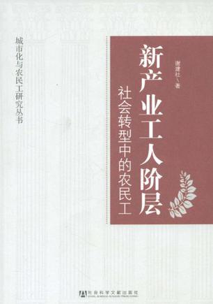 所有权结构指的是什么_社会劳动力指的是什么_社会经济结构是指