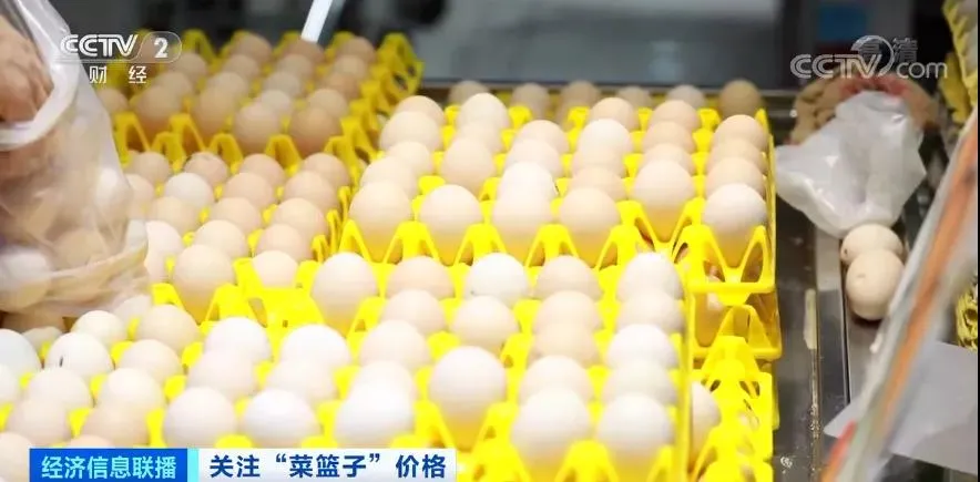中国病禽网今日鸡蛋价_鸡病专业网鸡蛋价格探讨_鸡病专业网鸡蛋价格探讨