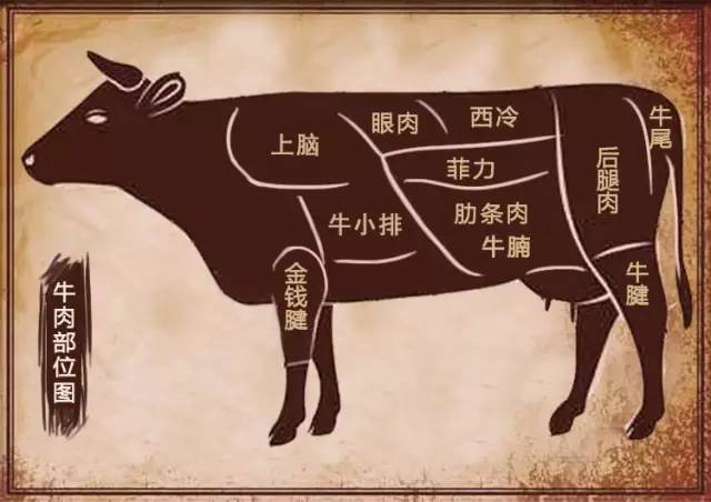 假牛肉_假假爱真做_假牛肉上的筋是怎做的