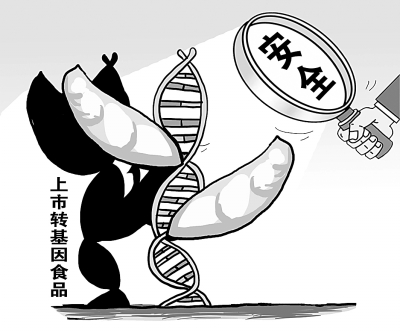 非转基基因黄豆的价格_中国领导吃转基因食品_基因改造食品有毒