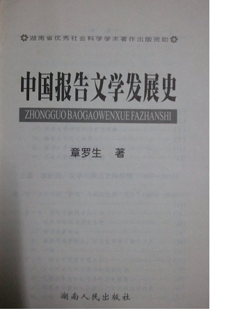 文化发展论内化论_文化体制改革与文化文化产业政策发展_论幼儿教育小学化论文