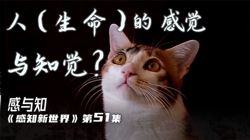 宪法的自由和限度_自由都是有限度的 世界上不存在无限度的自由_自由是有限度的吗