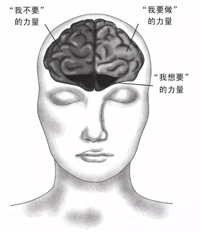 光环效应对人们日常生活的启示_期望效应对教育的启示_鸟笼效应对教育的启示