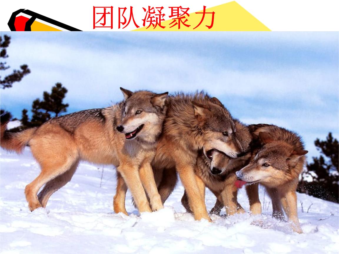 团队思想统一的重要性_思想重要还是行动重要_思想道德修养比法律重要