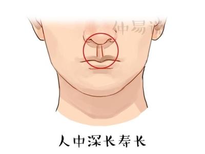 人中短命短真的可信吗_女人生命线短命就短吗_人中短真的短命有科学依据吗
