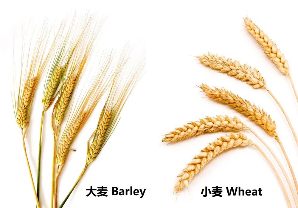 五帝时期是原始社会吗_原始美术包括三个时期_原始社会时期是哪年