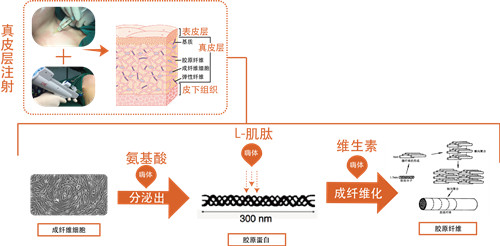 打瘦脸针要注意事项_水光针打好后注意事项_打瘦脸针注意哪些事项