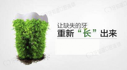牙球菊苣牙菜种植视频_上海做种植牙齿的价格_种植牙北京哪里做比较好