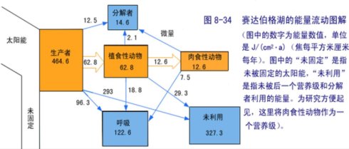 期望理论主要观点简述_委托代理理论主要观点_期望理论的主要观点是