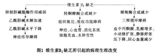 维生素b族片哪个牌子好_b-complex维生素b族片_维生素b族片和维生素c