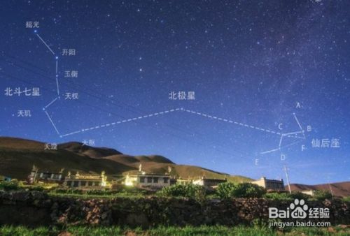 非常了得里柳岩说自然萌天然呆_大自然有哪些天然指南针_天然呆自然萌什么意思