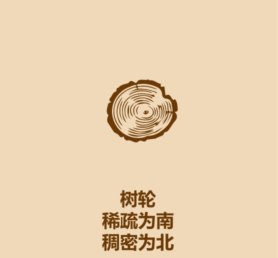 大s美白针有用吗_自然根雕图片天然根雕_大自然有哪些天然指南针