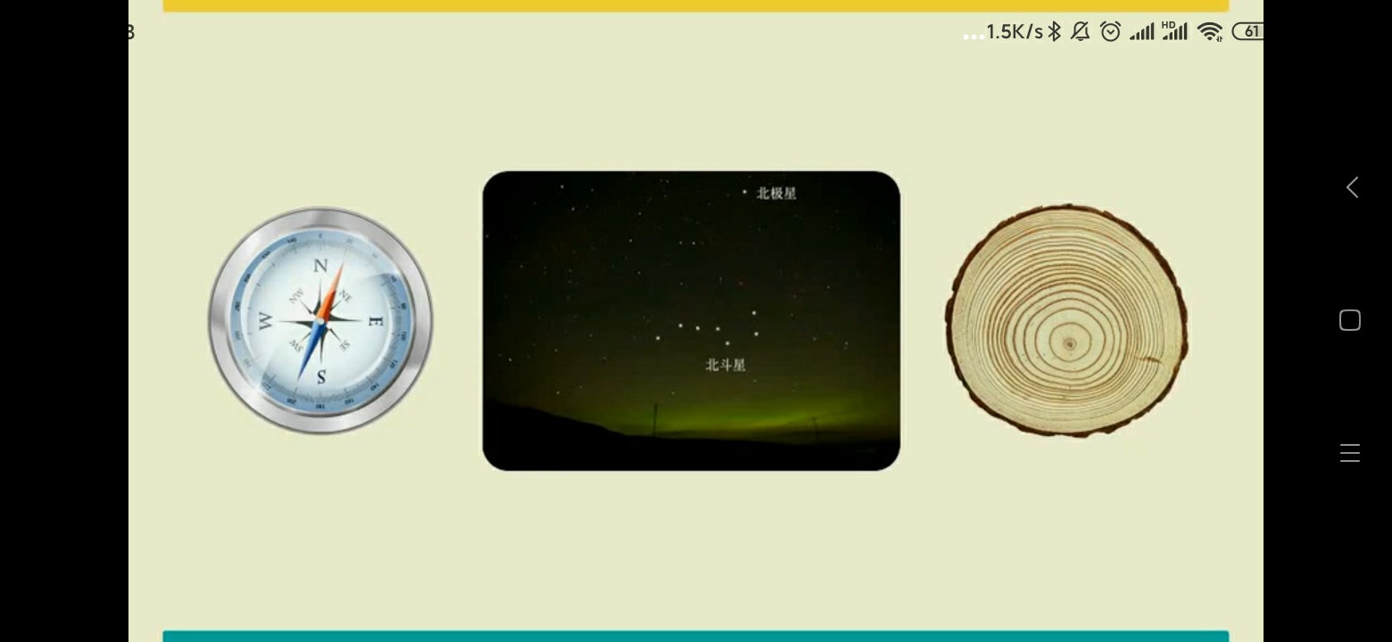 大自然有哪些天然指南针_自然根雕图片天然根雕_大s美白针有用吗