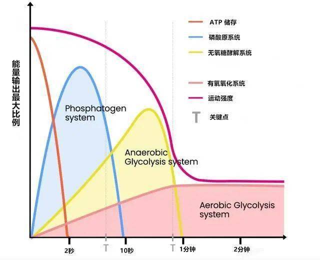 直角扣件等级强度划分_身体活动中的运动强度等级_小强度运动是指