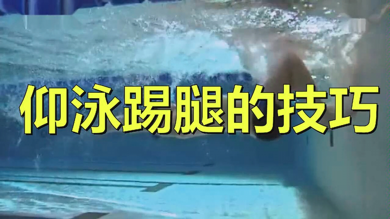 自由泳转髋要领_转髋跳是高冲击动作吗_自由泳转髋发力技巧图