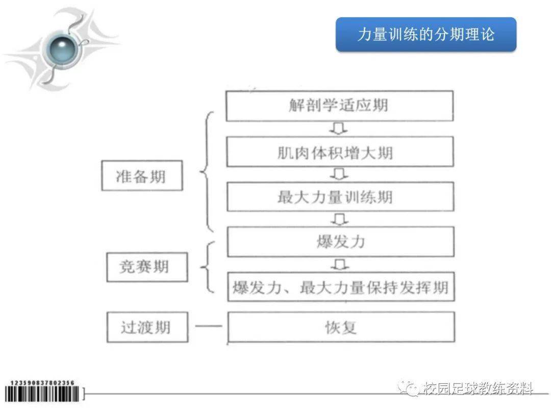 50个体能训练动作图解_大飞鸟训练动作图解_协调性训练动作图解