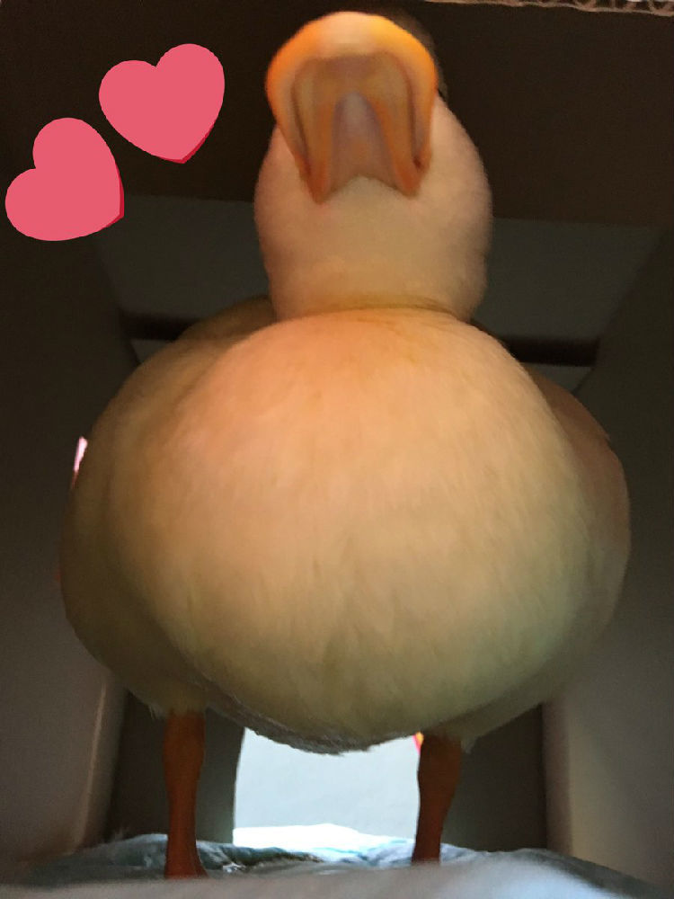 儿时游戏图片_交错时光的爱恋苏幻儿小说_为什么环孕时儿恶心时儿好