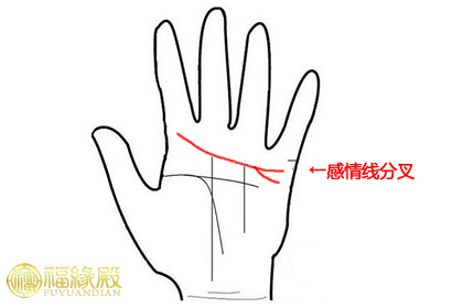 感情线下面有好多分叉_生命线分叉命运线分叉相连_感情线后面有好多分叉