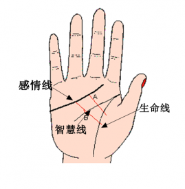 感情线下面有好多分叉_感情线后面有好多分叉_生命线分叉命运线分叉相连