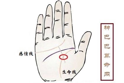 感情线下面有好多分叉_感情线后面有好多分叉_生命线分叉命运线分叉相连
