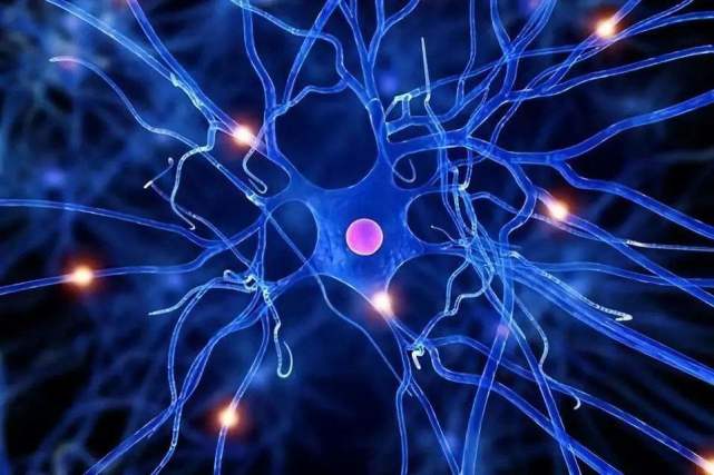 早上锻炼身体_早上锻炼的好处_早上6点起床锻炼好不好