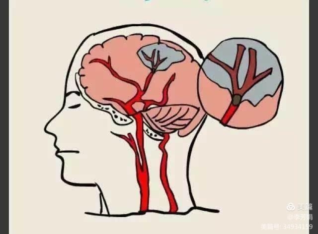早上锻炼身体_早上锻炼的好处_早上6点起床锻炼好不好