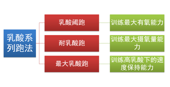 人体中主要供能物质是_耐力运动中主要的供能物质是_运动营养食品中可以添加哪些物质