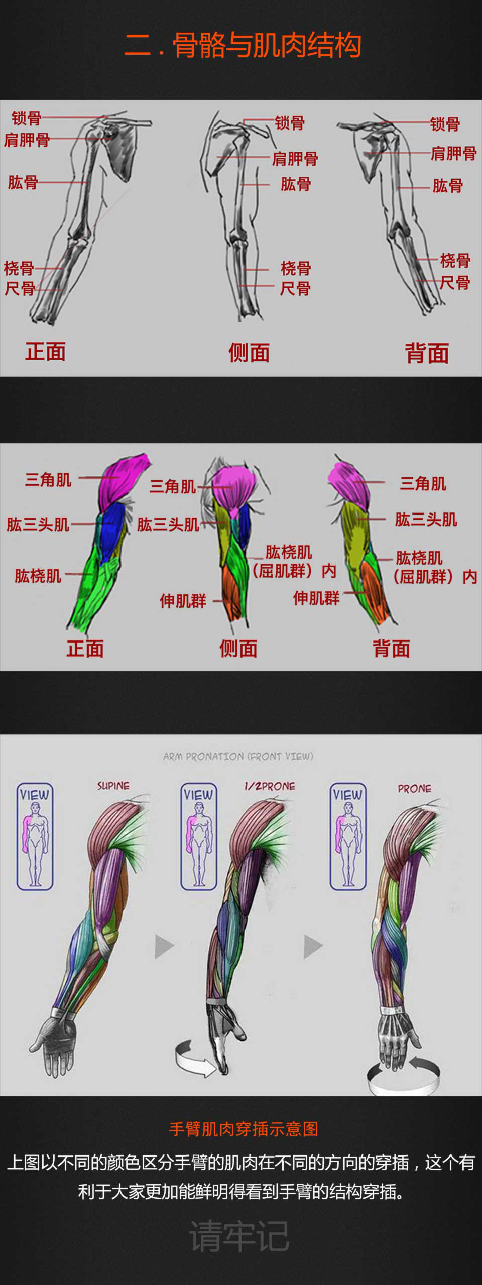 如何把肩膀练宽_练背阔肌能让肩膀变宽_练背阔肌能让肩膀变宽