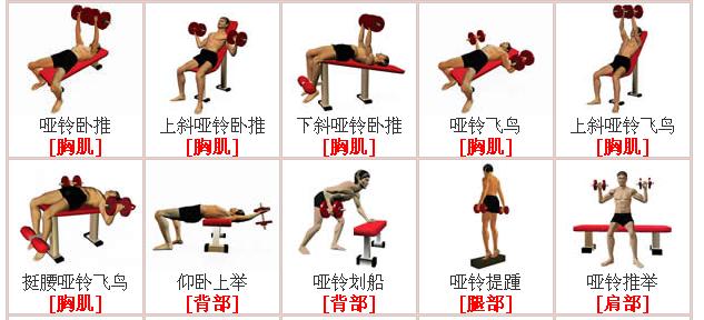 科学进行锻炼的健康人_进行更多的锻炼用英语怎么说_科学进行人力资源规划