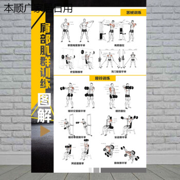 练大肌肉群的动作_大肌肉动作包括什么_肌肉拉伸动作图解