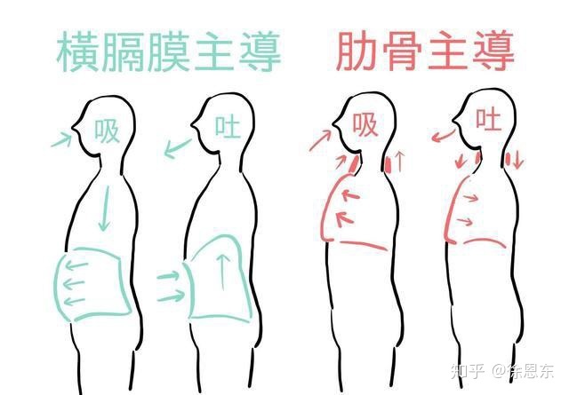 深蹲时的呼吸应该怎样_徒手深蹲怎么呼吸_呼吸时右侧肋骨里面疼应该挂什么科