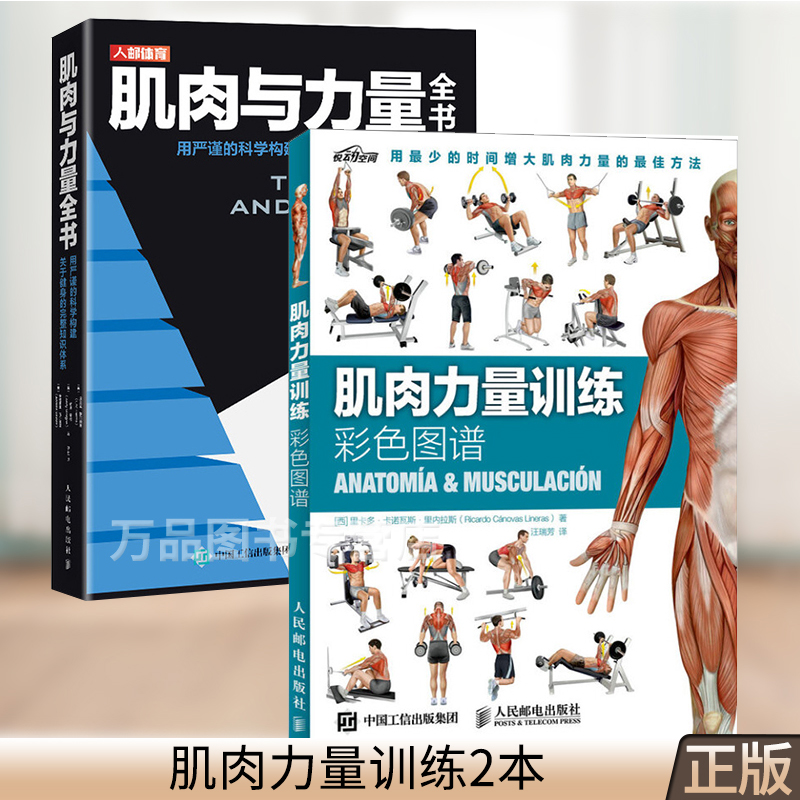 做下肢力量要注意什么_女性下肢力量男性下肢力量谁更强_做下肢力量要注意什么