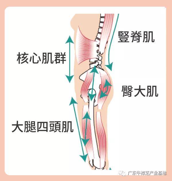 健身练肌肉时听的音乐_健身怎样练肌肉_健身练肌肉时听的音乐