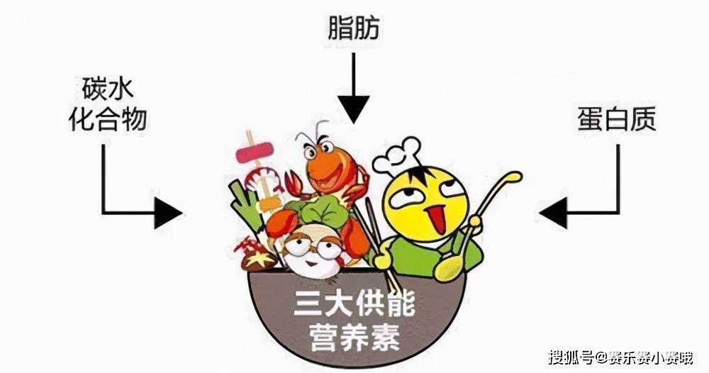 坚持跳舞是很好的事_饥饿是很好的锻炼_女主是庶女但嫡母很好