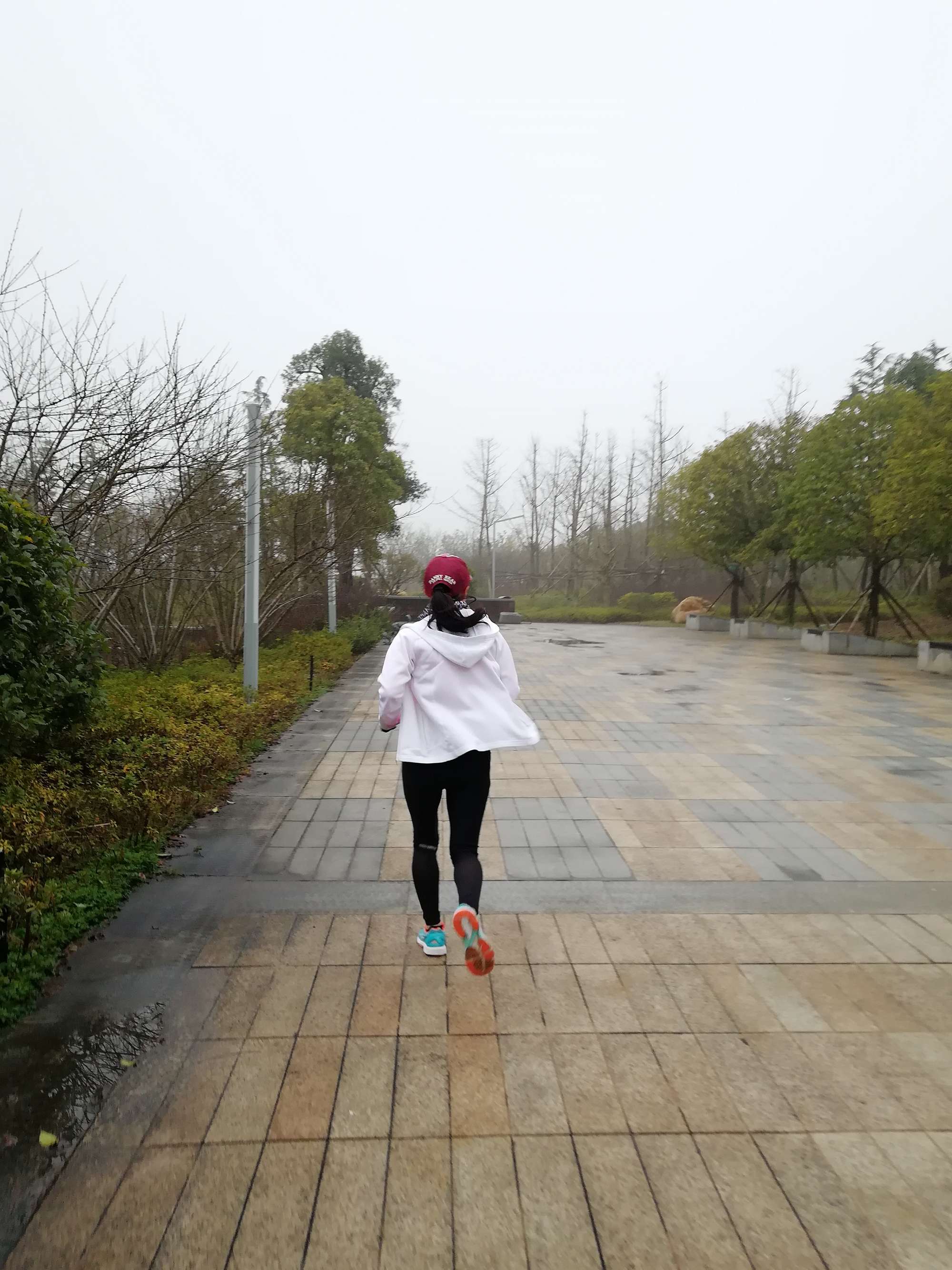 长期早上跑步的好处和坏处_早上跑步有什么好处_早上坚持跑步的好处