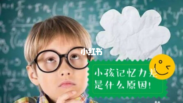 怎么做可以提高记忆力_怎么提高记忆效率_记忆提高大师