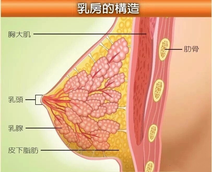 减胸运动视频_做什么运动可以减胸_男生减胸最有效的运动方法
