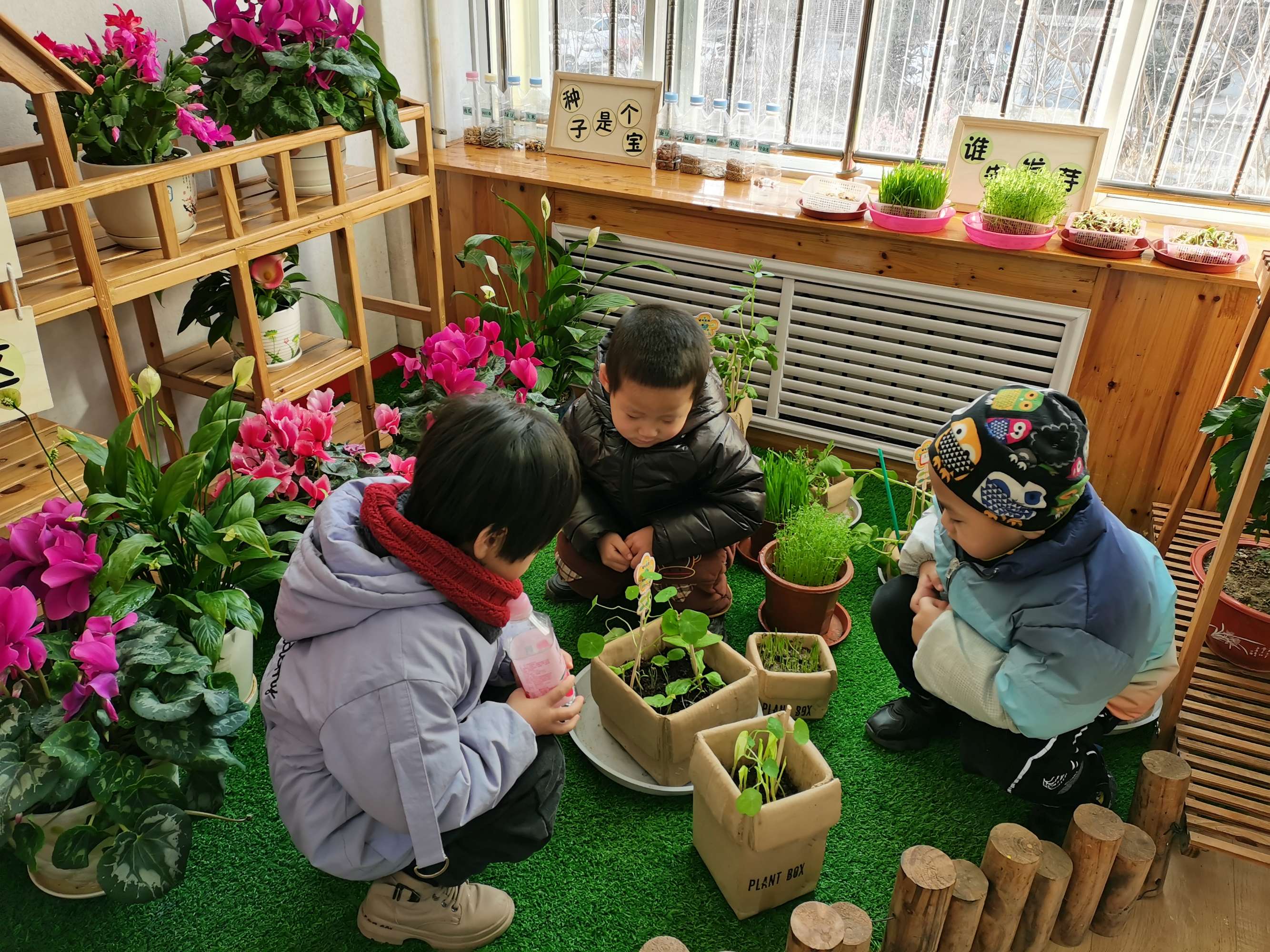 照顾小动物的游戏大全_照顾小仓鼠游戏_照顾小宠物游戏大全
