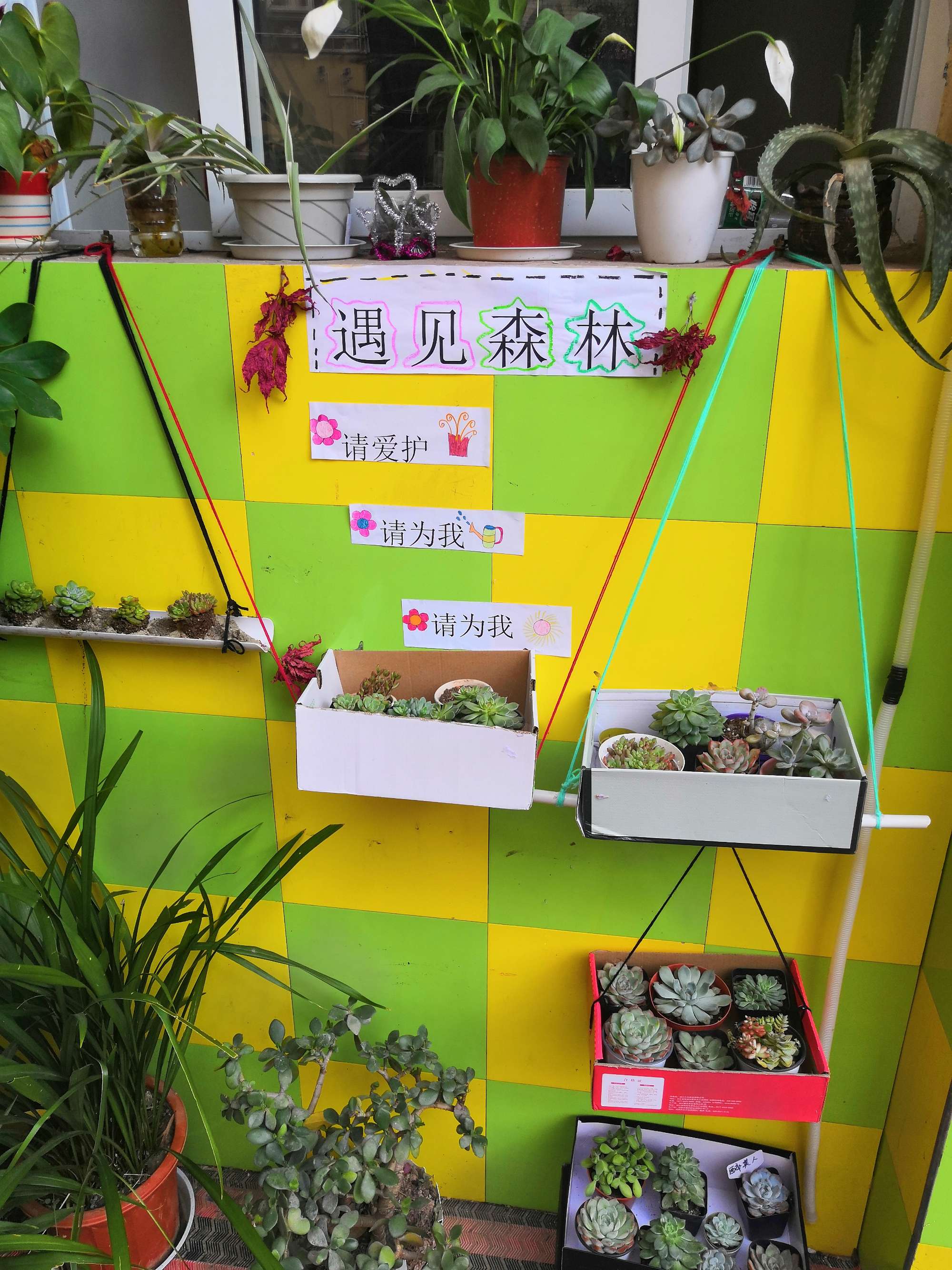 照顾小仓鼠游戏_照顾小动物的游戏大全_照顾小宠物游戏大全
