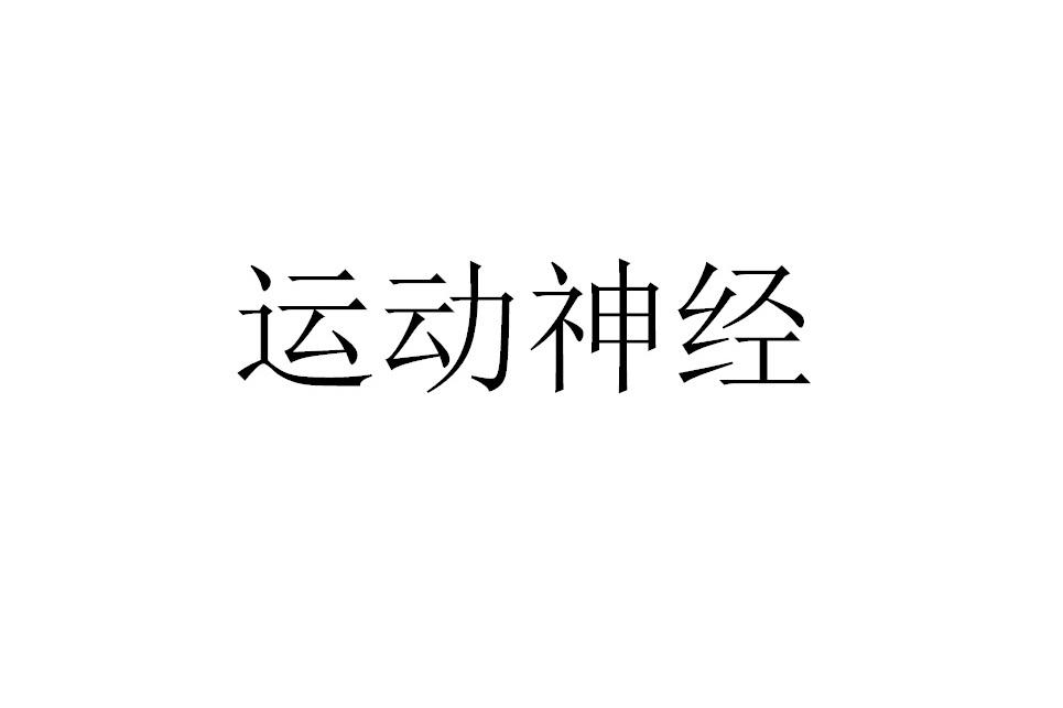 体育锻炼前准备活动的意义_蜂蜜锻炼前喝还是锻炼后喝_幼儿园体育游戏活动准备